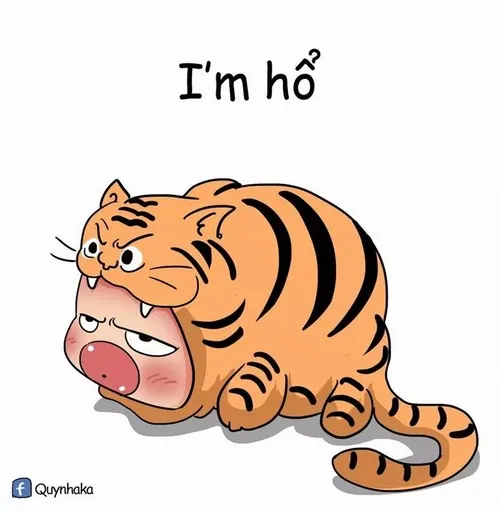 48 47