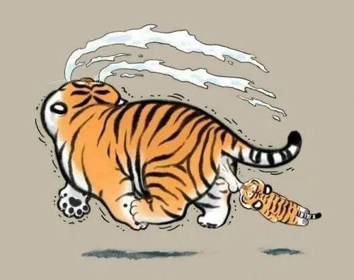 52 51