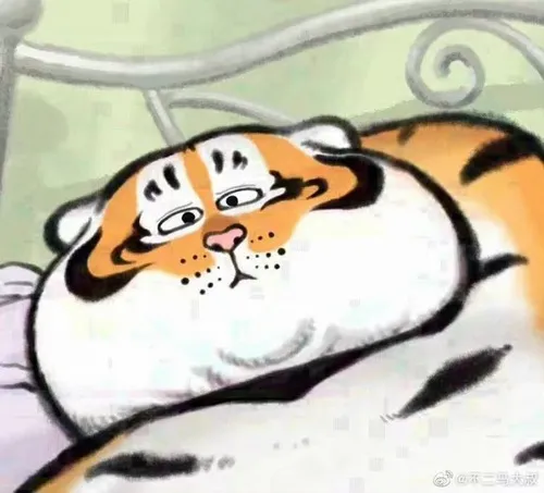 54 53