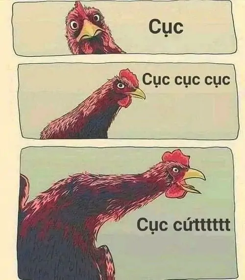 154 153