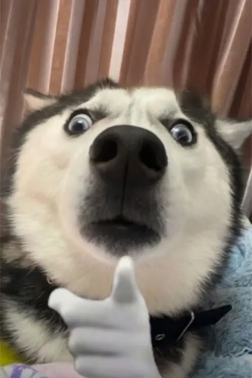 134 133
