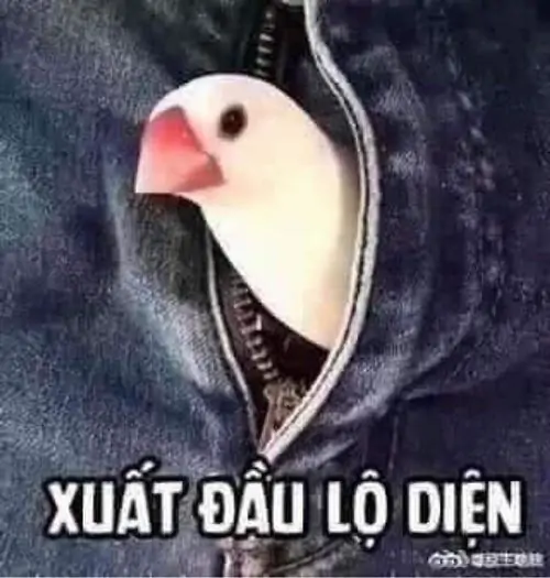 146 145