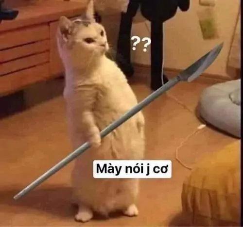 84 83