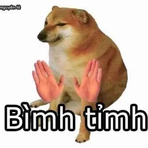 86 85
