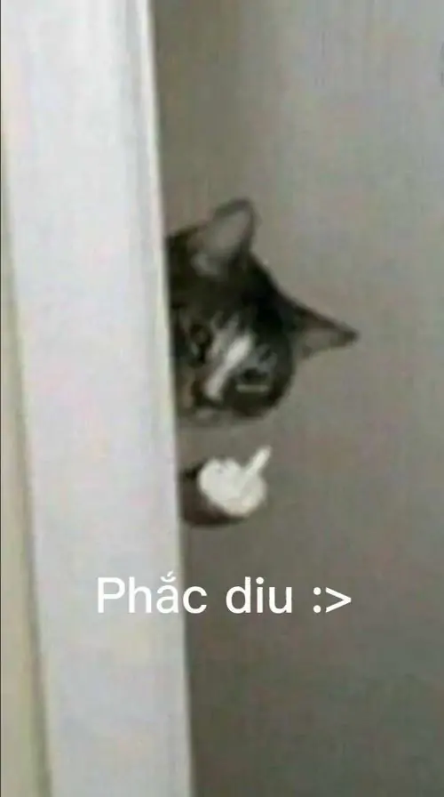 72 71