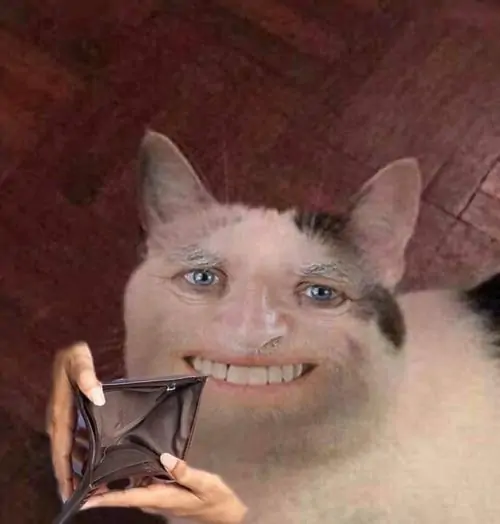 80 79