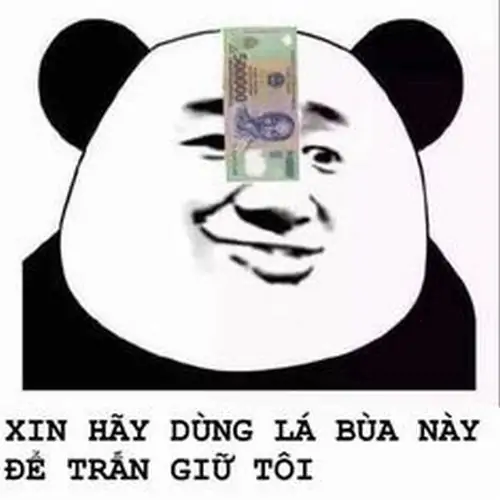 82 81