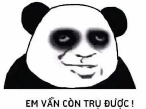 10 Panda đen trắng kèm dòng em vẫn còn trụ được, thể hiện vẻ cố gắng chịu đựng dù tình huống đã gần quá sức