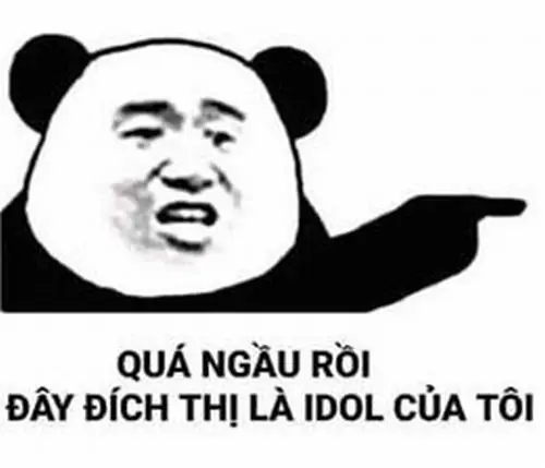 16 Ảnh troll panda chỉ tay kèm câu quà ngầu rồi dậy dịch thì lại idol của tôi, tạo kiểu ảnh vui mạng xã hội đầy cà khịa