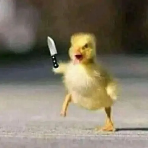 55 Ảnh Meme Vịt Cầm Dao Hù Dọa Vừa Đáng Yêu Vừa Hung Dữ