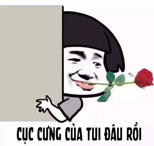 35 Nhân vật tóc đen cầm hoa hồng kèm dòng cục cưng của tui đâu rồi, gợi kiểu thả thính vừa ngọt vừa hơi lầy