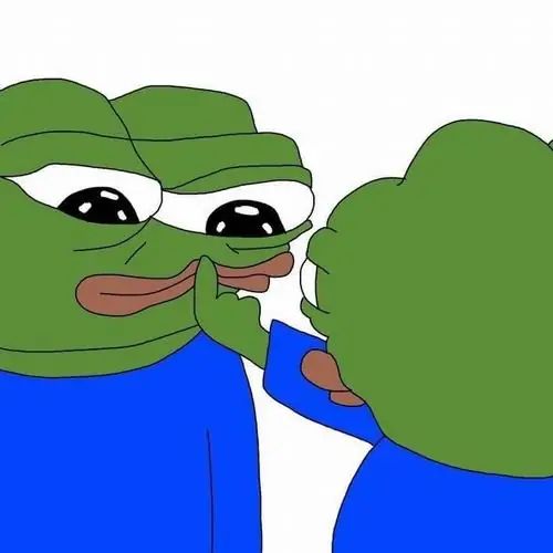24 Pepe soi gương với biểu cảm đồng cảm, tạo tình huống tự an ủi bản thân sau một ngày bị bạn bè trêu quá nhiều