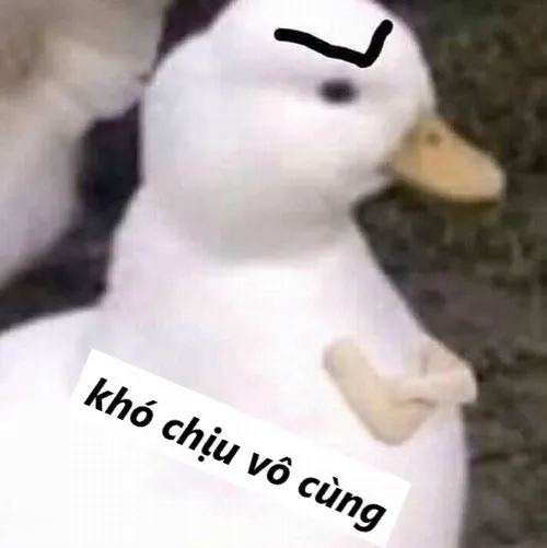 44 43