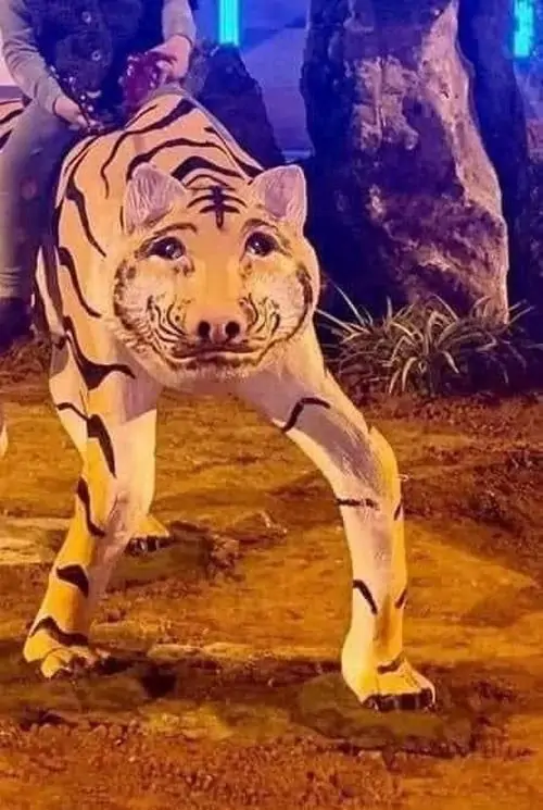 172 171