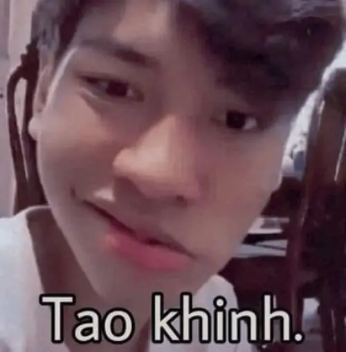 57 Gương mặt mèo đen trắng nheo mắt đầy nghi ngờ, tạo phản ứng hài khi nghe một lời hứa nghe có vẻ không đáng tin
