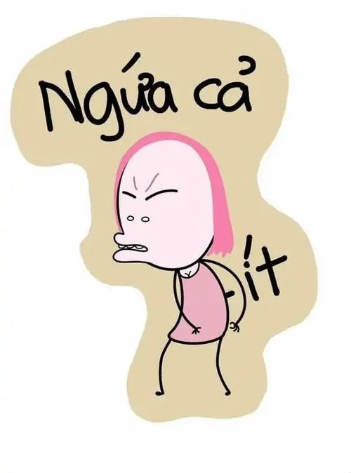 42 Thỏ hồng kèm chữ ngứa cả ít đứng với vẻ mặt khó chịu, gợi cảnh bực mình nhẹ sau khi nghe một câu cà khịa dai