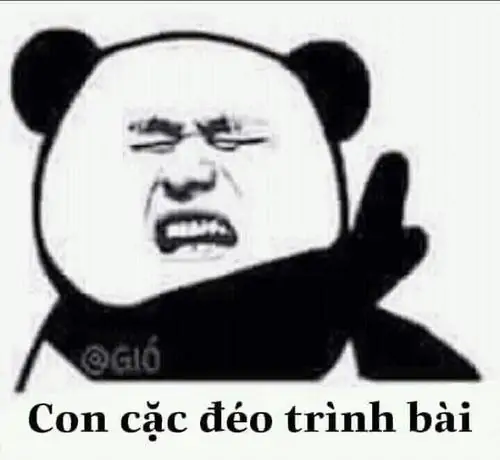 45 Panda đen trắng cau có chỉ tay kèm dòng chữ chửi bậy, tạo cảm giác phản bác gay gắt trong một cuộc tranh luận hài hước