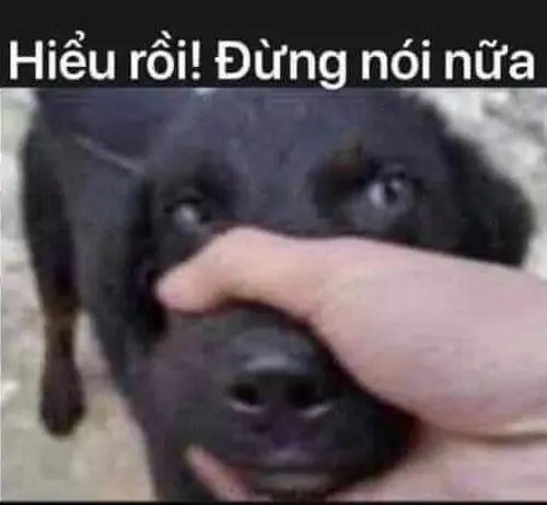48 Nhân vật que nằm vật ra sàn với dòng chữ than mệt, tạo cảm giác kiệt sức sau khi cố gắng tỏ ra ổn cả ngày