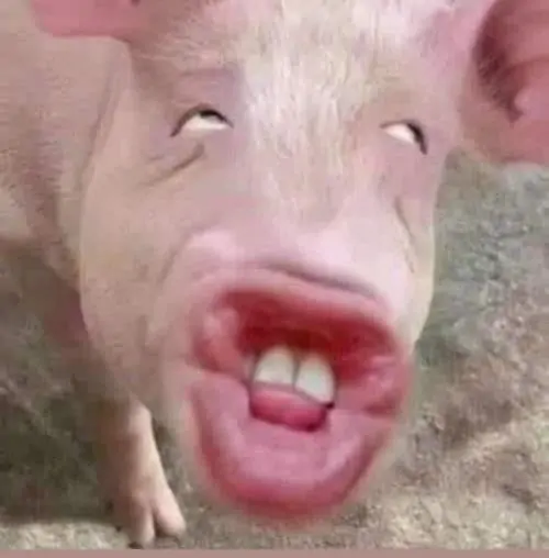 49 Con vịt vàng đội mũ bảo hiểm nhìn hoang mang, phù hợp làm meme phản ứng khi vừa bước ra đường đã gặp chuyện khó hiểu