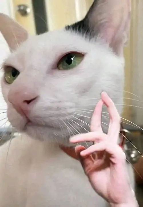 124 123