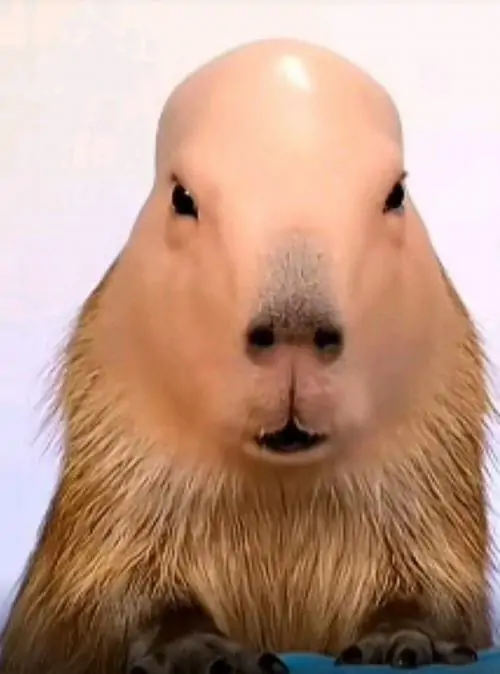 111 110