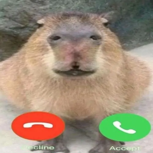 117 116