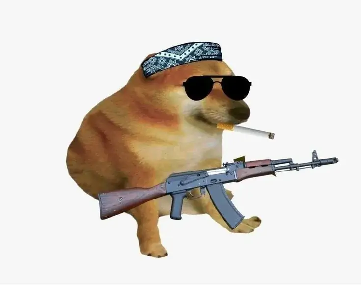 82 81
