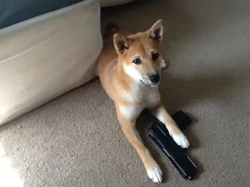 98 97