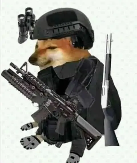 96 95