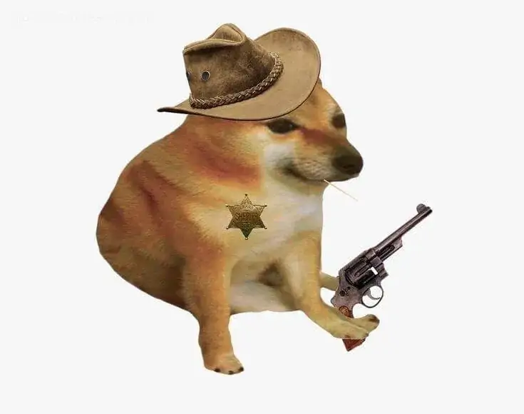 86 85