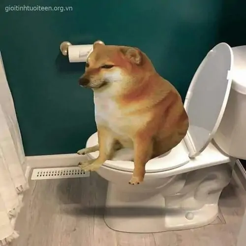 118 117