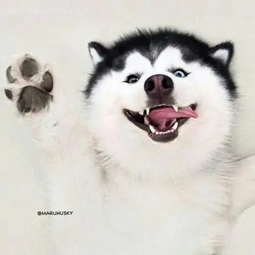 124 123