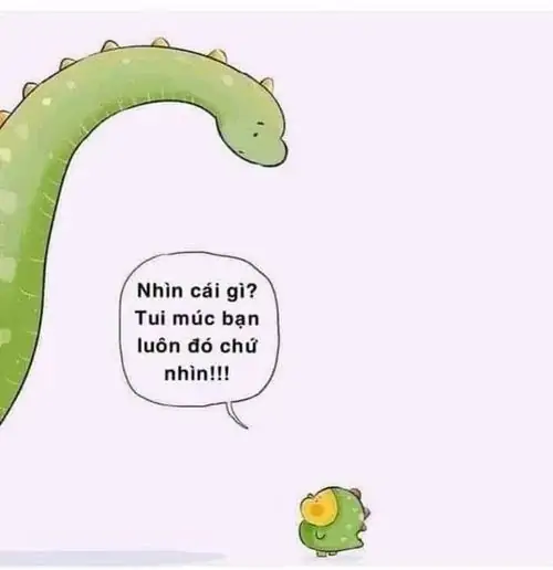 254 253