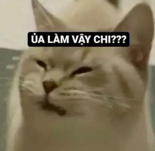 240 239