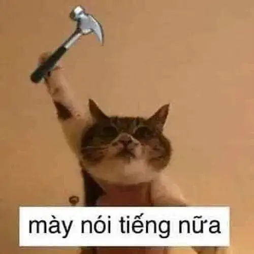 250 249
