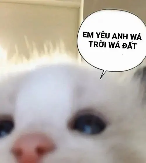 224 223