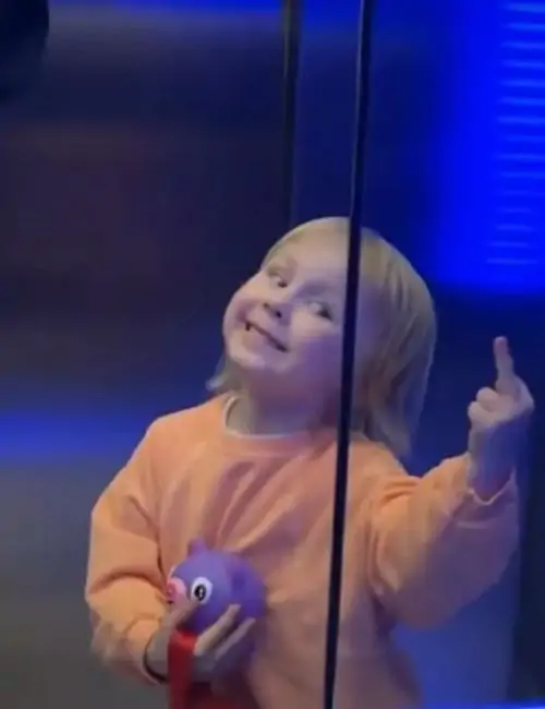 177 Ảnh Giơ Ngón Giữa Meme Khi Cần Xả Bực Dọc Và Cần Thêm Chút Lầy Lội