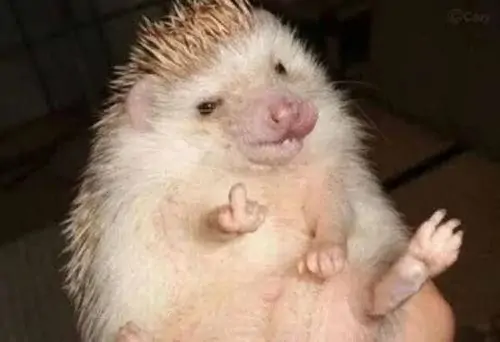 223 222