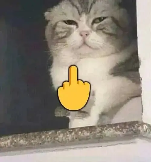 174 173