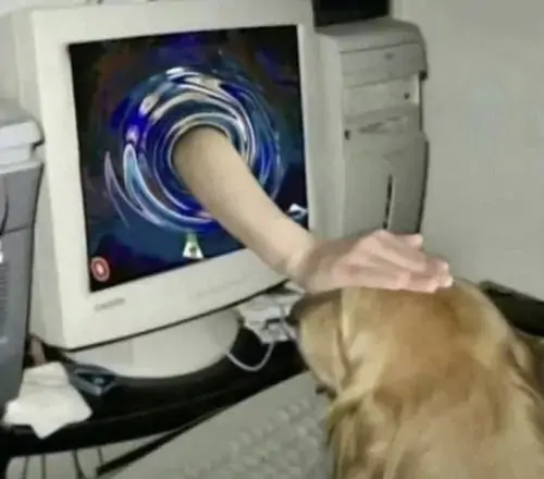 75 74