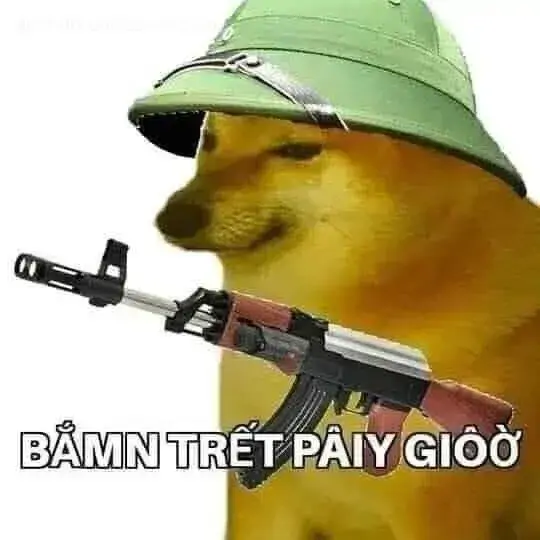 6 5