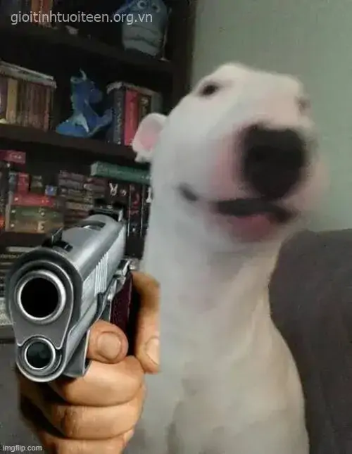 54 53