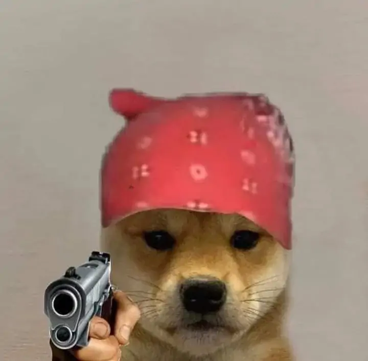 40 Ảnh Meme Chó Cầm Súng Gửi Vào Nhóm Chat Khi Câu Chuyện Đi Quá Xa