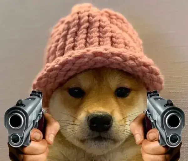 64 63
