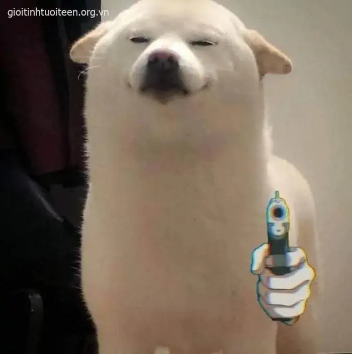 56 55