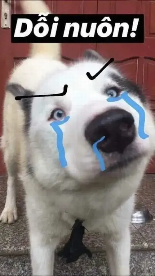 4 3