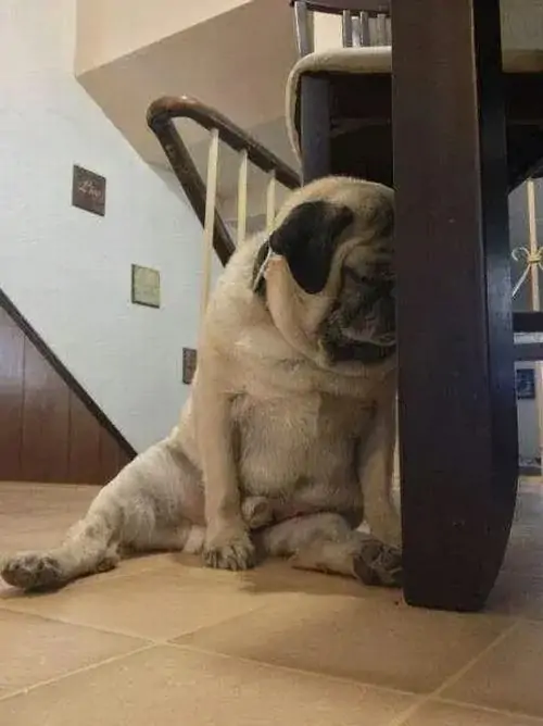 16 15