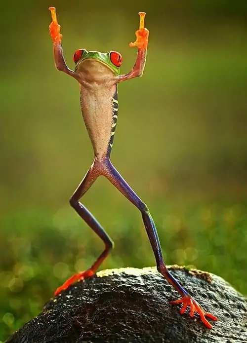 64 63