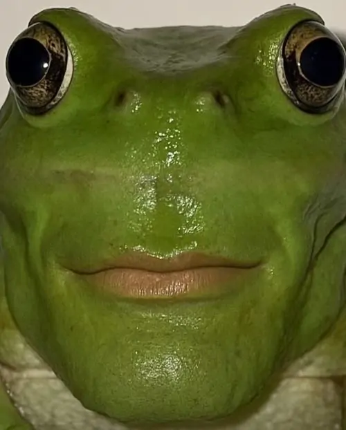 49 48