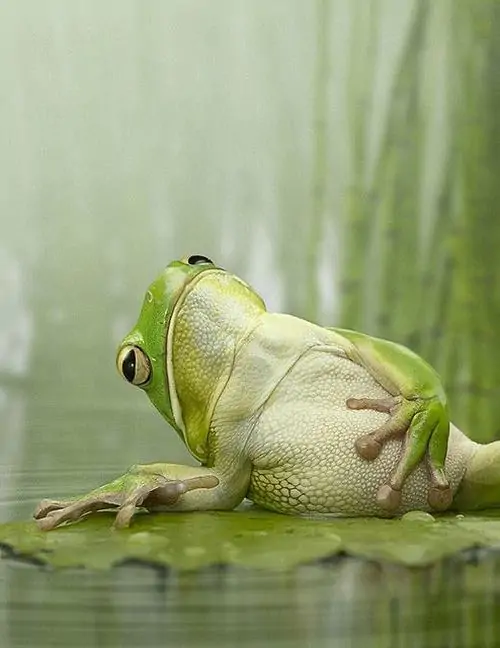 51 50